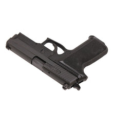 Load image into Gallery viewer, P229,9mm,3.9in,ntrn,blk,da-sa,sglt,2-10rd