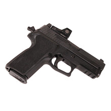Load image into Gallery viewer, P229,9mm,3.9in,ntrn,blk,da-sa,sglt,2-10rd