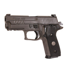 Load image into Gallery viewer, P229,9mm,3.9in,lgin,gy,da-sa,x-ray,3-10rd