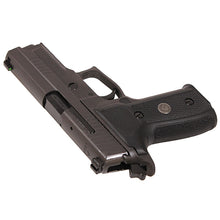 Load image into Gallery viewer, P229,9mm,3.9in,lgin,gy,da-sa,x-ray,3-10rd
