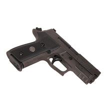 Load image into Gallery viewer, P229,9mm,3.9in,lgin,gy,da-sa,x-ray,3-10rd