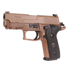 Load image into Gallery viewer, P229,9mm,3.9in,emp Scrp,fde,da-sa,2-15rd