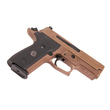 Load image into Gallery viewer, P229,9mm,3.9in,emp Scrp,fde,da-sa,2-15rd