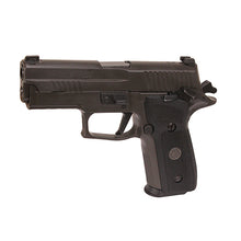 Load image into Gallery viewer, P229,9mm,legion,gray,sao,x-ray 3,srt