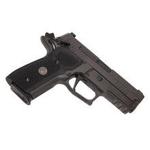 Load image into Gallery viewer, P229,9mm,legion,gray,sao,x-ray 3,srt
