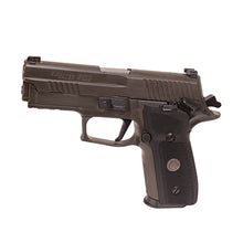 Load image into Gallery viewer, P229,9mm,legion,gray,sao,x-ray 3,srt