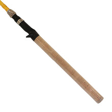 Load image into Gallery viewer, Ec Fl Casting Kokanee Rod 2pc 9' Ul Glass