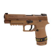 Load image into Gallery viewer, P320-m17