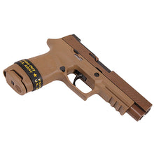Load image into Gallery viewer, P320-m17