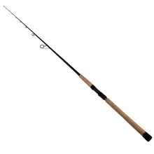 Load image into Gallery viewer, Back Bay Rod, Sec= 1, Line Wt.= 15-25