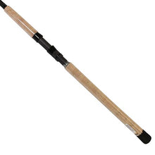 Load image into Gallery viewer, Back Bay Rod, Sec= 1, Line Wt.= 15-25