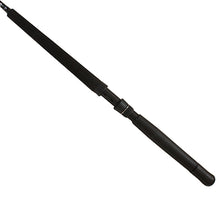 Load image into Gallery viewer, Rd-saltist Stw Trolling Rod,sc=1,wt=20-50