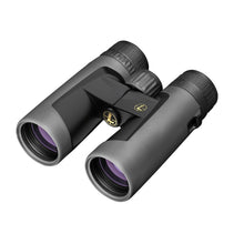Load image into Gallery viewer, Bx-2 Alpine 8x42mm Roof Shadow Gray